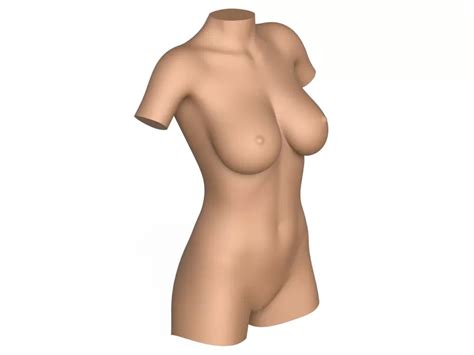 3D Print Ready Woman Torso With Vagina 3D Printing Model Threeding