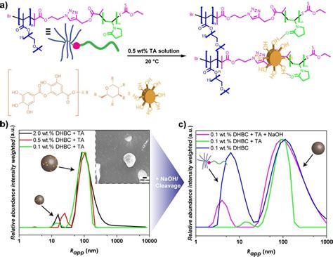 A Schematic Overview Of The Non Covalent Crosslinking Reaction Of