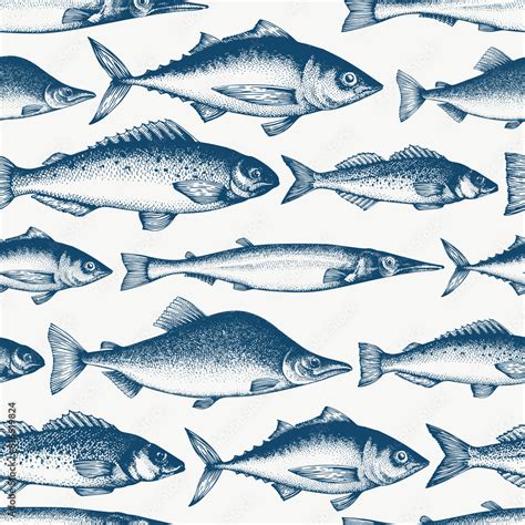 Fish Seamless Pattern Hand Drawn Vector Fishes Illustration Engraved