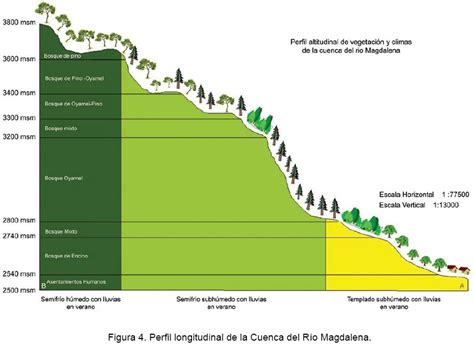 An Lisis Dimensional De La Cobertura Vegetal Uso De Suelo En La Cuenca