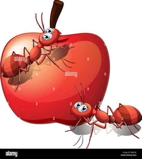 Illustration Of The Two Ants And The Red Apple On A White Background