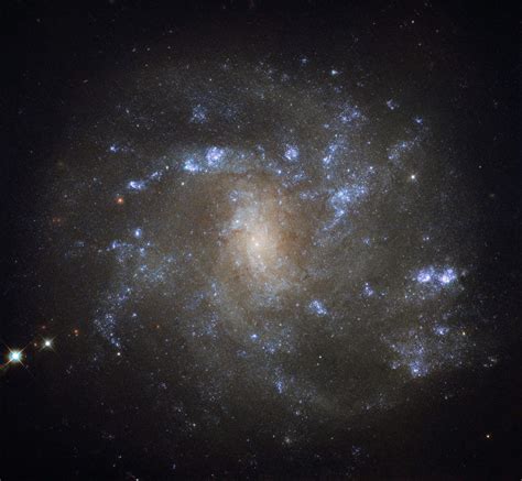 Hubble Snaps Beautiful Barred Spiral Galaxy Image Scinews