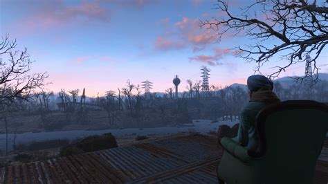 Mama Murphy admiring the view : r/fo4