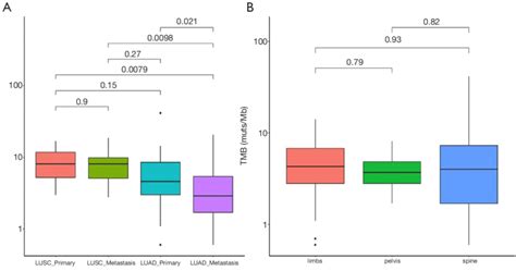 Distribution Of Tmb In This Cohort A Comparison Of Tmb Value Between