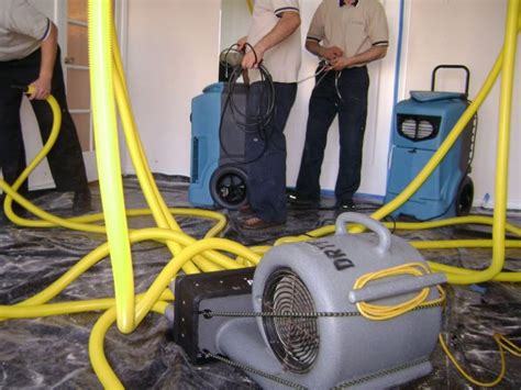 Water Damage Mold And Fire Restoration In Nyc Mold Removal In New