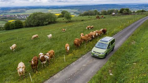 Praxis Test Vw Caddy California Promobil