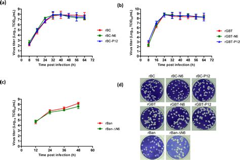 Growth Kinetics And Plaque Morphology Of Recombinant NDV Strains In