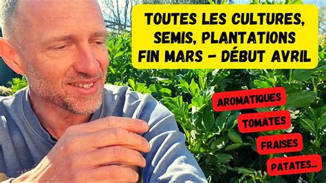 M Ga Tour Du Potager Fin Mars Tomates Aromatiques Fraises