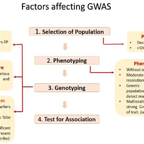 A Generalized Procedure Of Genome Wide Association Study Download