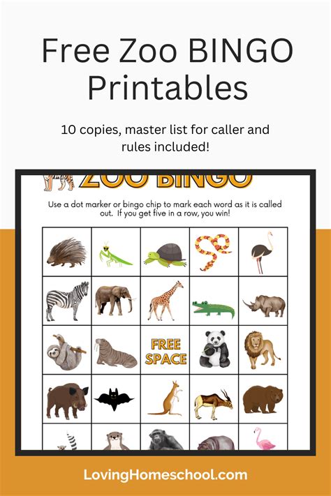 Free Zoo BINGO Printables - Lovinghomeschool.com