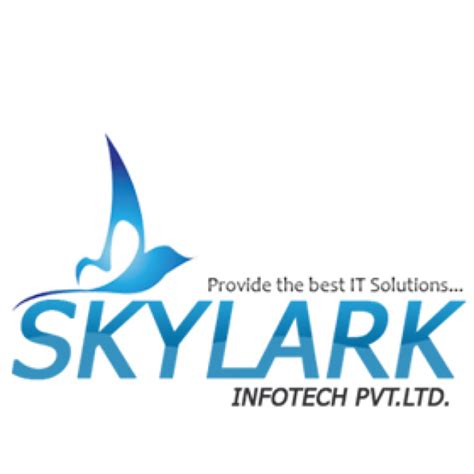 Jitu Dabra - Software Development company India - Skylark Infotech Pvt ...