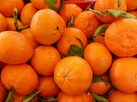 Free Photo Tangerines Orange Fruit Citrus Fruit Food Orange