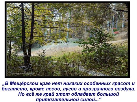 К.Г. Паустовский. Мещёрская сторона - презентация онлайн