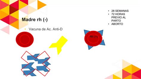 Enfermedad Hemol Tica Del Reci N Nacido Ppt