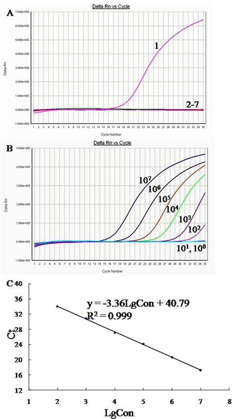 Figure From Development Of A Taqman Based Real Time Pcr Assay For The