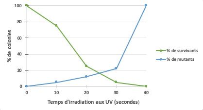 Tp Mutagen Se Levures Uv