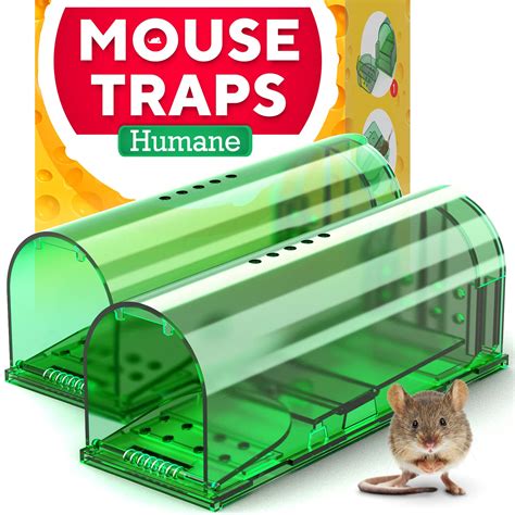 The Best Mouse Traps Of 2023 By The Spruce | lupon.gov.ph