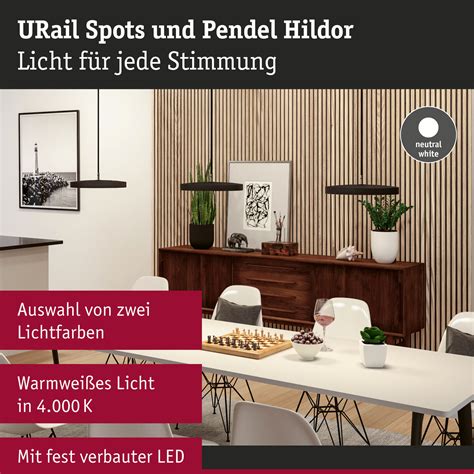 Paulmann Urail Hildor Suspension Led Noir K Luminaire Fr