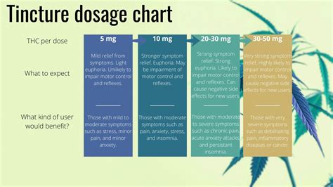 Cannabis Dosage Guide Finding Your Cbd And Thc Dose My Supply Co