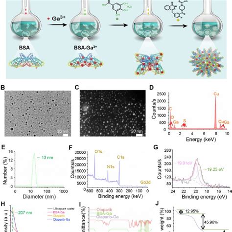 Synthesis And Characterization Of The Olaparib Ga Nanodrug A