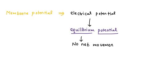 Solved What Is The Difference Between Equilibrium Potential And