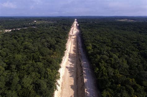 Tren Maya Afecta Al Medioambiente Estas Son Las Posturas