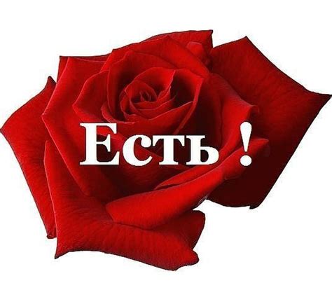 Фото 862932356203 из альбома Разное. Смотрите в группе МИР ВАШЕМУ ДОМУ ...