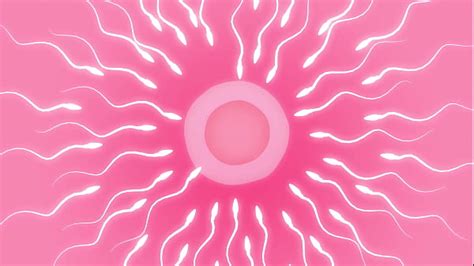 Bengugu Videos XVIDEOS