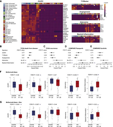 Single Cell Sequencing Links Multiregional Immune Landscapes And Tissue