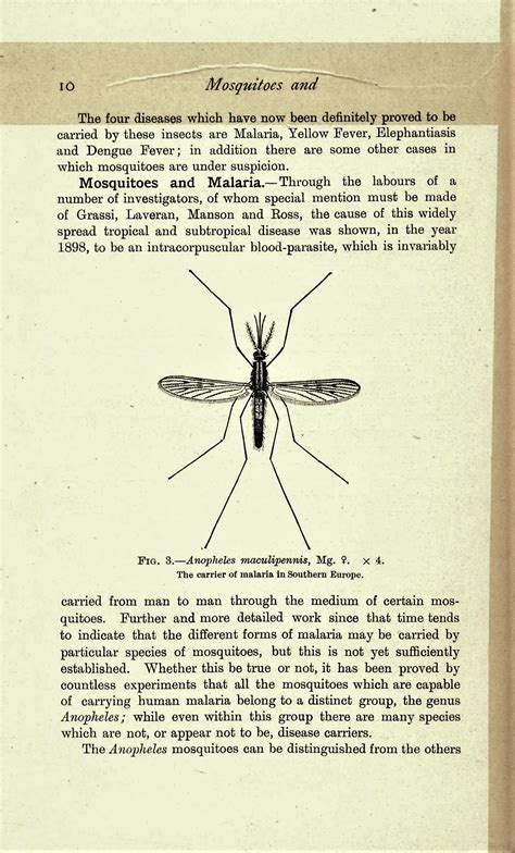 Mosquitoes and Mauve: a story of scientific discovery and the British Empire – Smithsonian