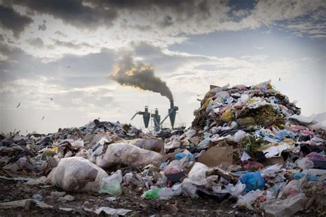 Why is Burning Plastic Lab Waste Harmful? And What Can Labs Do About It ...