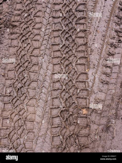 Tire Tracks In The Mud Stock Photo Alamy