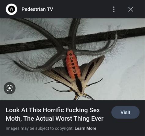 Sex Moth R 196