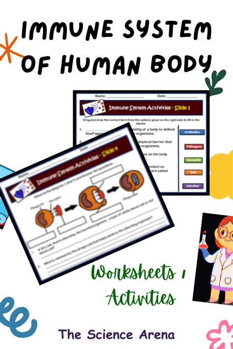 Immune System Activities Interactive Worksheets Editable Digital Printable Immune System