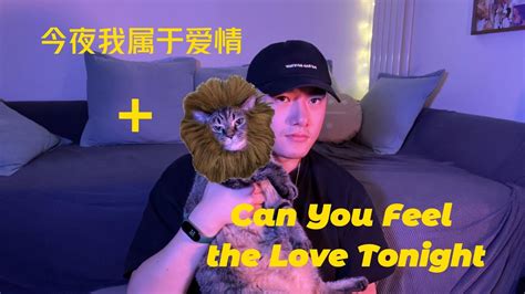 迪士尼中英翻唱之狮子王 Can You Feel the Love Tonight 今夜我属于爱情 车乾豪 Diego Che