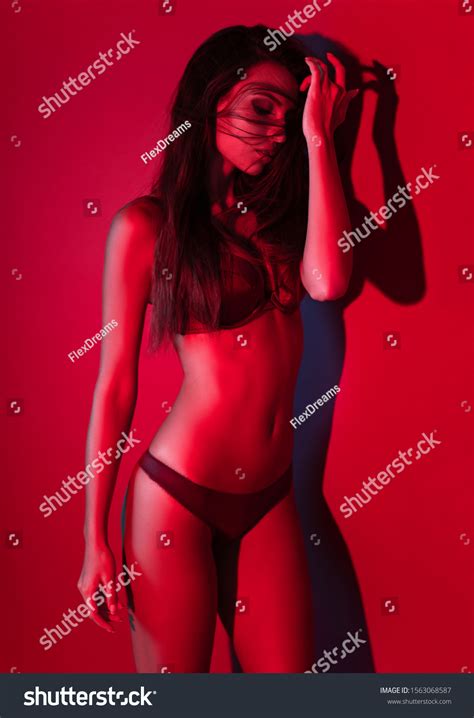 Seductive Brunette Model Lingerie Posing On Stock Photo 1563068587