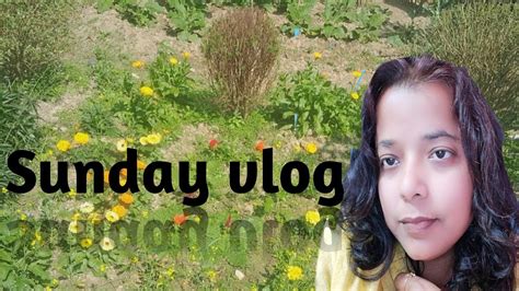 Sunday Vlog Hum Sab Milkar Kaha Gaye Today Vlog Viral Youtube