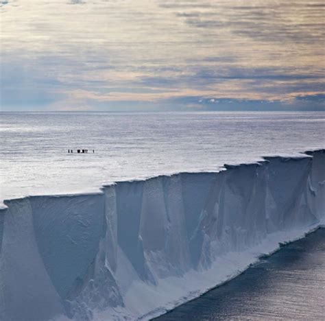 The Antarctic Ice Wall with people for scale | Antarctica, Tree of life art, Antarctic