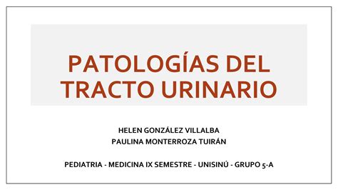 Solution Patolog As Del Tracto Urinario Studypool