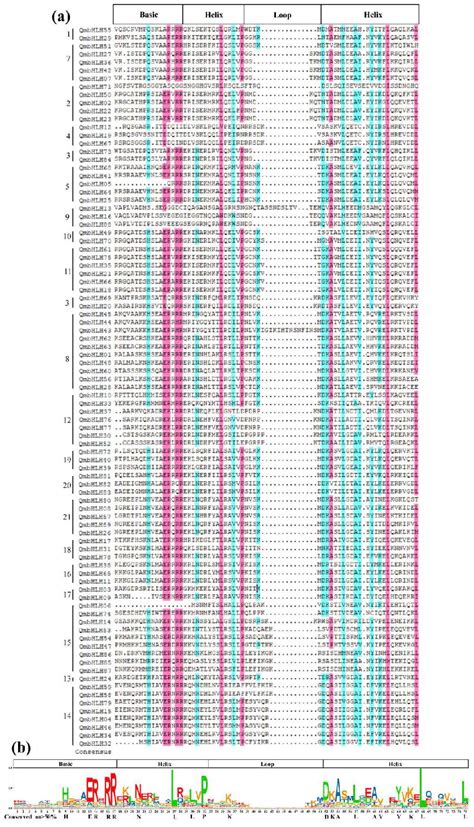 Multiple Sequence Alignment Of Amino Acid Sequences Of The Conserved