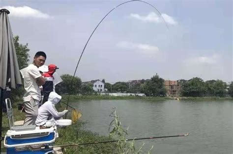 夏天太熱就釣不到鯿魚？那是你用過這釣法，上魚又快又狠，特過癮 每日頭條