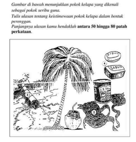 Kegunaan Pokok Kelapa Sawit Bina Ayat Modul Lengkapkan Ayat Ayat Di The Best Porn Website