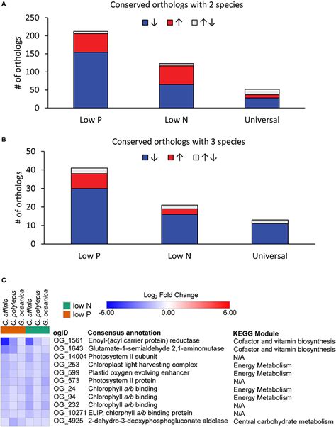 Frontiers Conserved Transcriptional Responses To Nutrient Stress In