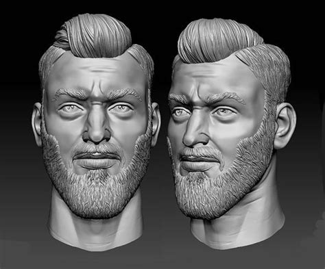 Male Head Sculpt Human Hair Beard Anatomy Detailed 3d Model Cgtrader