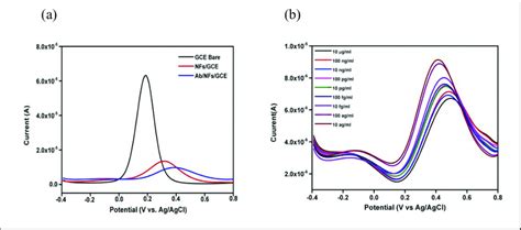 A Differential Pulse Voltammetric DPV Response Of The Bare GCE