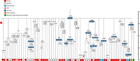 mt DNA Haplogroup H6a1 Resource Page - Journals of a Time Traveller