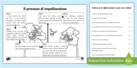 La Riproduzione Delle Piante Scuola Primaria Teacher Made