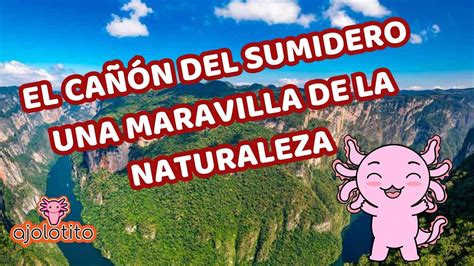 Explorando el Magnífico Cañón del Sumidero Datos Curiosos y Esenciales