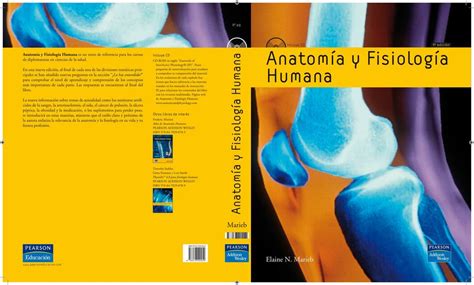 Anatomía Y Fisiología Humana Alitzel Bocanegra Udocz