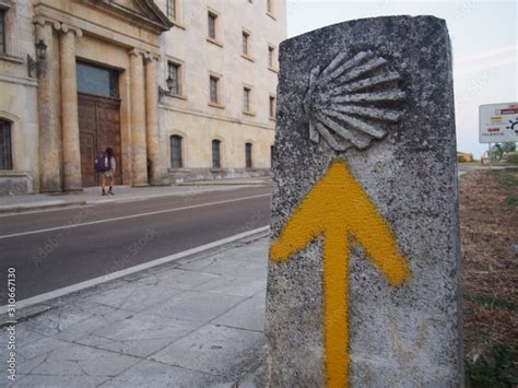 Scallop Shell Mark And Yellow Arrow Sign Camino De Santiago Way Of St